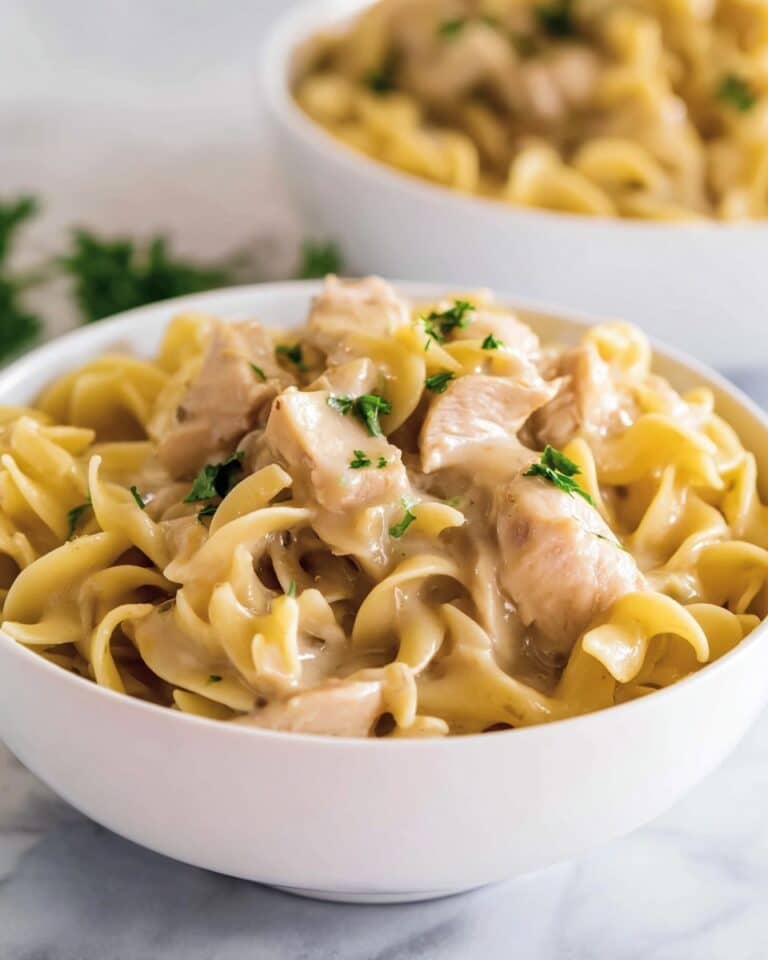 Creamy Chicken and Noodles Recipe