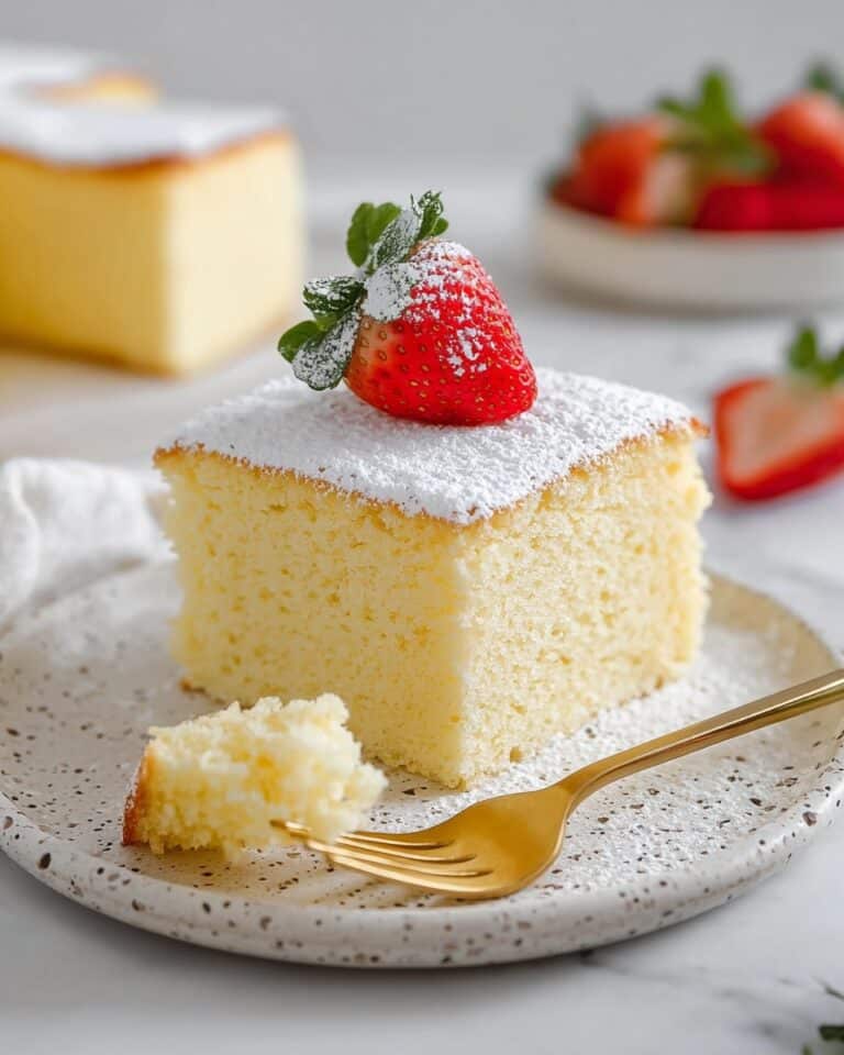 Japanese Cheesecake Recipe