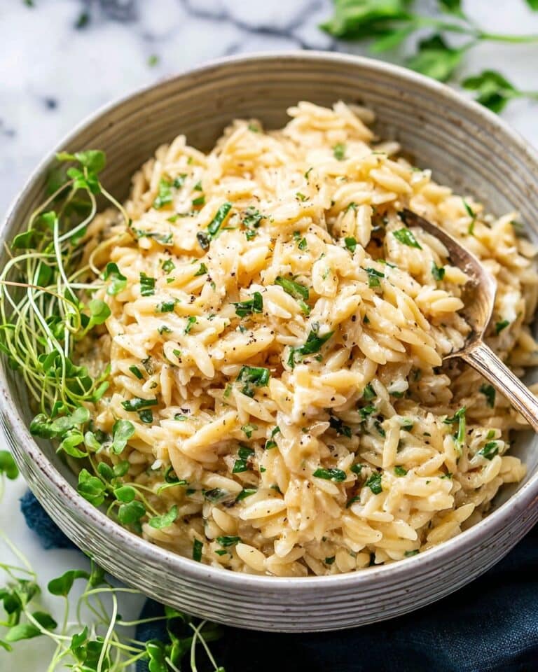 Creamy Garlic Parmesan Orzo Recipe