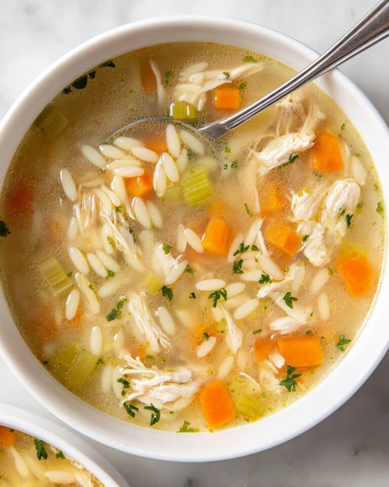 Lemon Chicken Orzo Soup Recipe