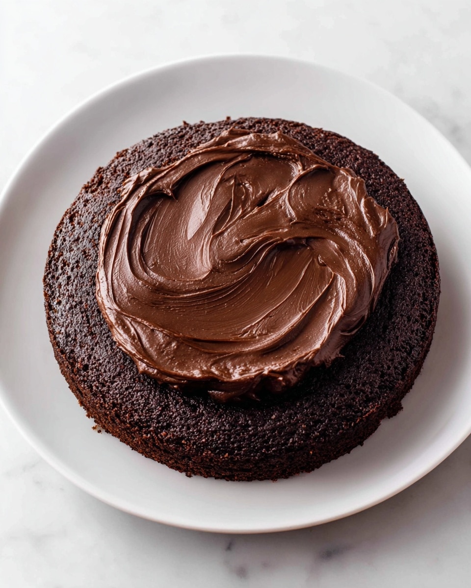 A single round chocolate cake layer sits centered on a white plate, showing a dark brown color with a slightly rough, textured surface. On top of the cake, there is a thick spread of smooth, creamy chocolate frosting with rich, glossy, dark brown swirls, mostly centered and slightly spreading outwards but not covering the edge of the cake layer. The cake and plate rest on a white marbled surface. photo taken with an iphone --ar 4:5 --v 7