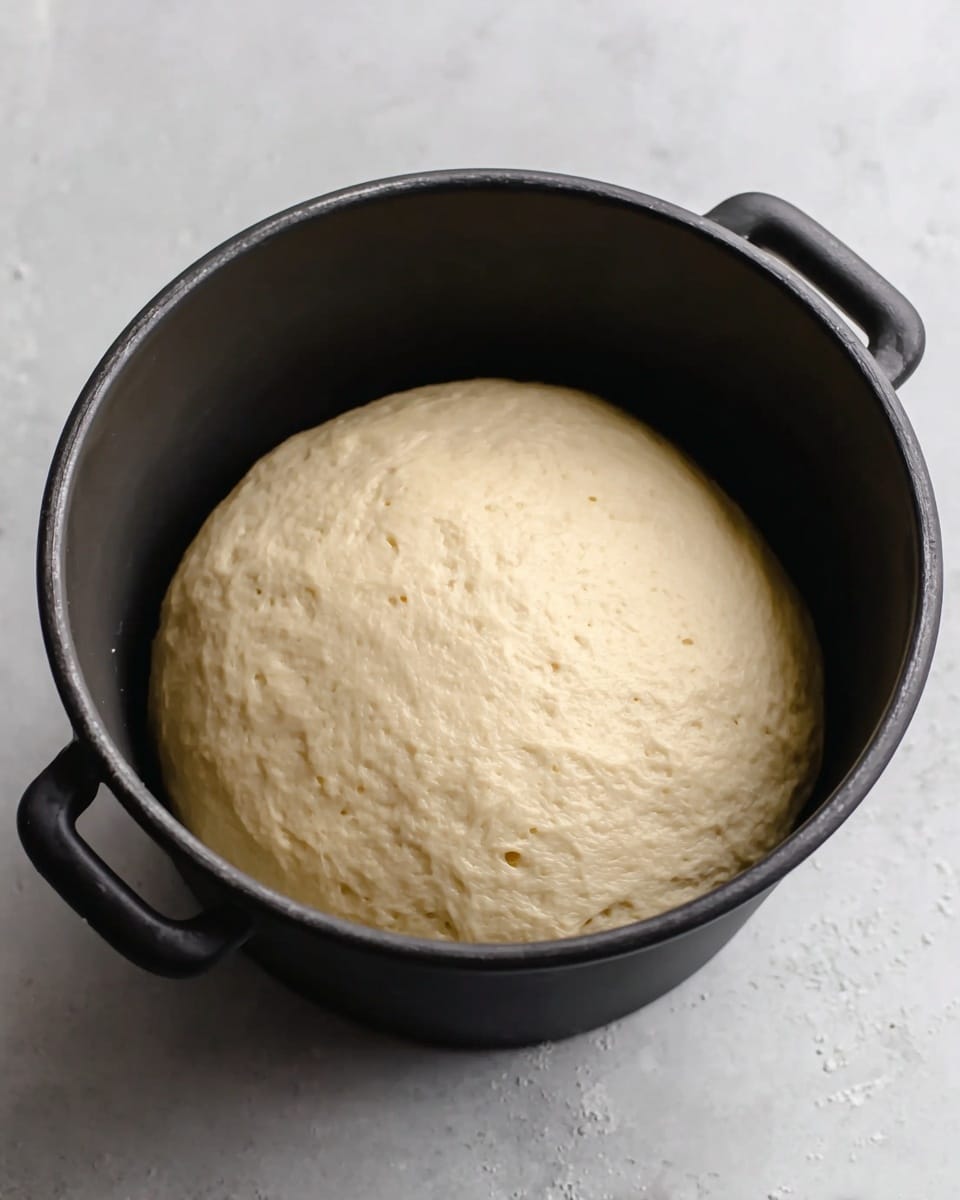 A large smooth ball of pale beige dough sits inside a deep black mixing bowl with two small handles on each side, resting on a white marbled surface. The dough looks soft and slightly shiny with a few small air bubbles showing its light texture. The bowl's dark matte interior contrasts with the lighter dough inside, drawing focus to the even round shape of the dough. Photo taken with an iphone --ar 4:5 --v 7