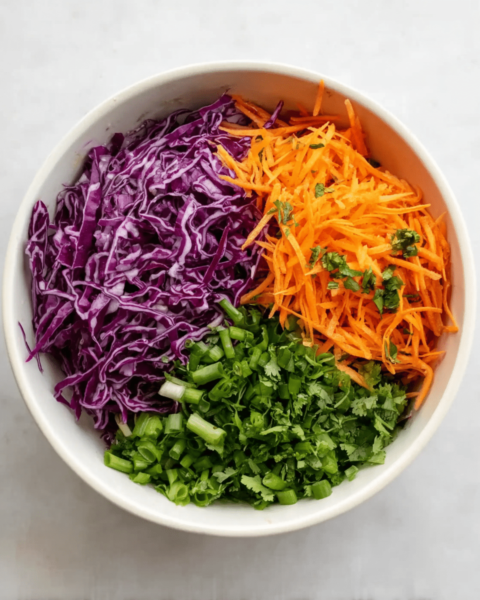A white bowl on a white marbled surface holds three clear sections of fresh vegetables. On the left side is a pile of thinly shredded purple cabbage with a slightly rough texture. On the right side, bright orange shredded carrots are finely textured, with small bits of green herbs scattered on top. At the bottom center, there is chopped green onion and chopped leafy cilantro, adding a mix of light and dark green colors and a fresh look. The layers fill the bowl evenly without mixing photo taken with an iphone --ar 4:5 --v 7