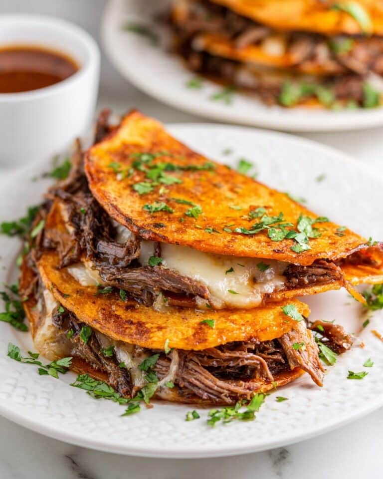 Crock Pot Birria Tacos Recipe