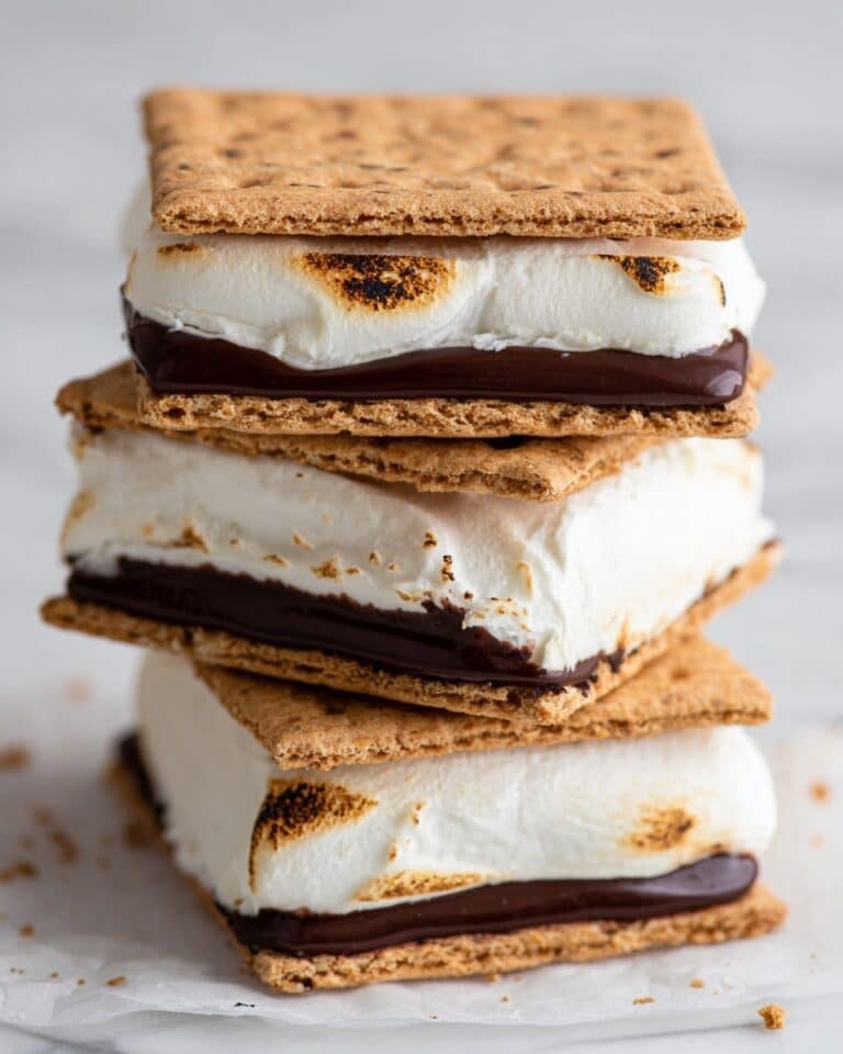 Frozen S’mores Ice Cream Sandwiches Recipe
