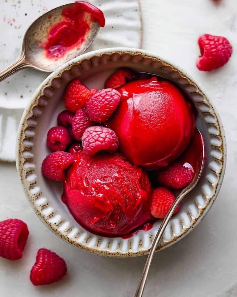 Homemade Raspberry Sorbet Recipe